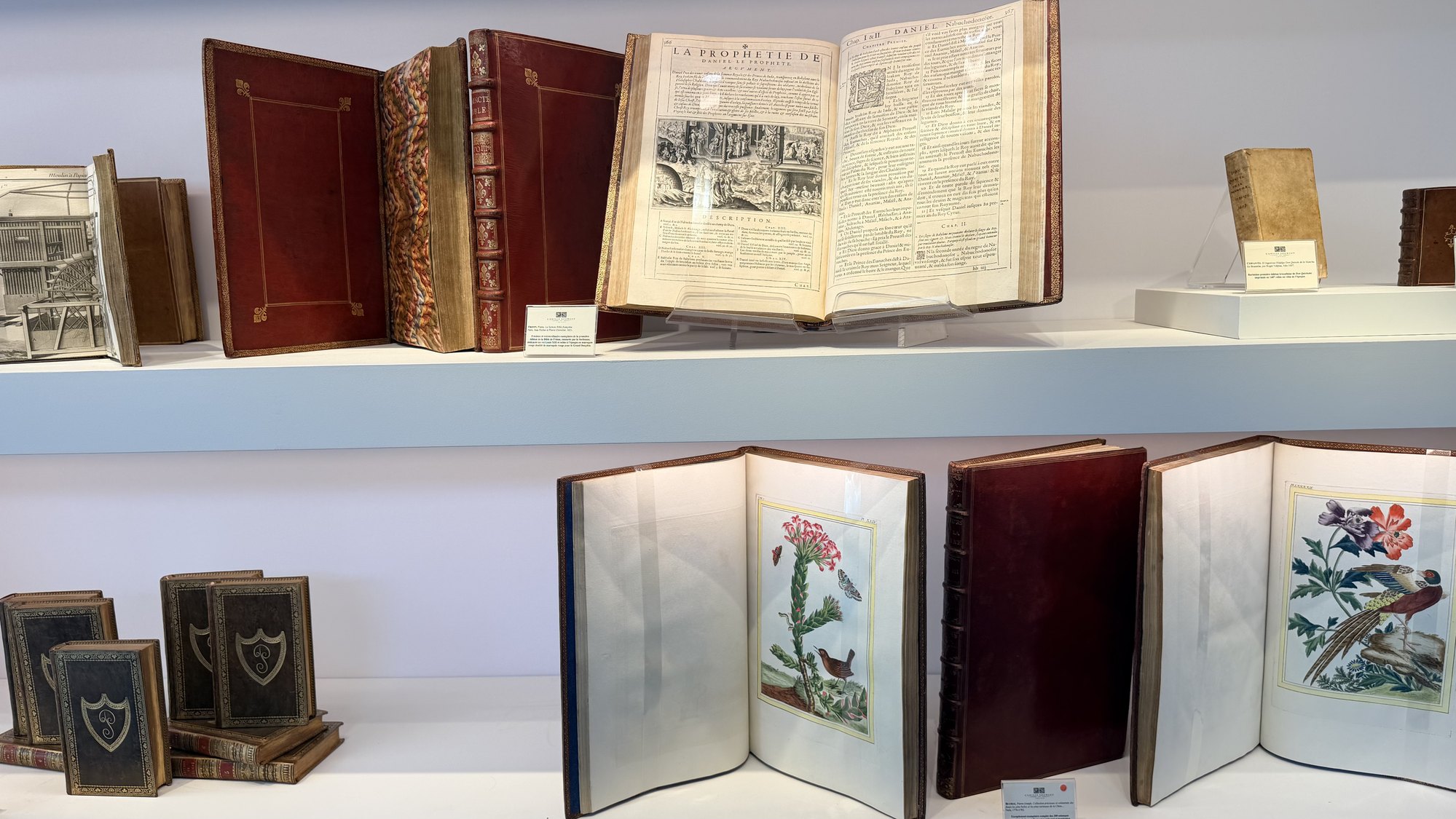 Livres anciens et reliures présentés sur des étagères, planches botaniques ouvertes